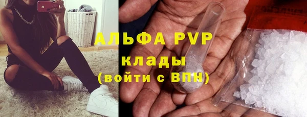 сатива Алексин