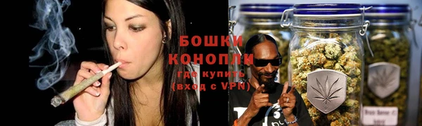 сатива Алексин